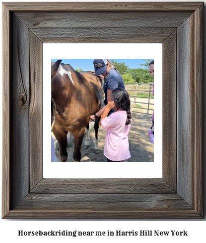 horseback riding near me in Harris Hill, New York